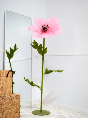 Anemone