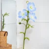 Blue Flax