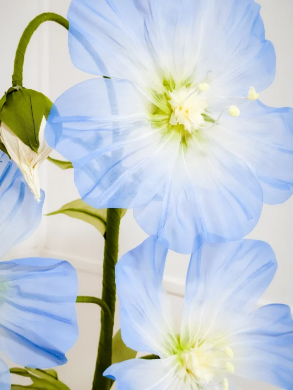 Blue Flax