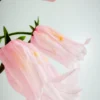 Canterbury Bells