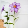 Clematis