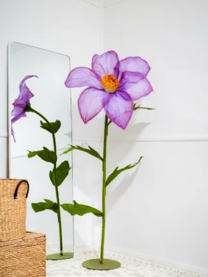 Clematis