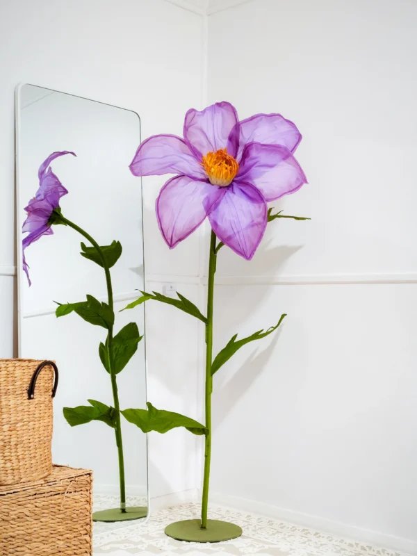 Clematis