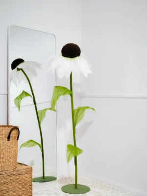 Coneflower