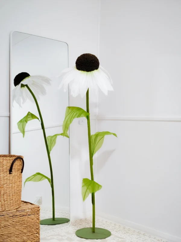 Coneflower