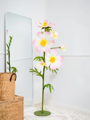 Cosmos