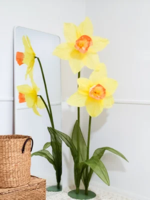 Daffodil
