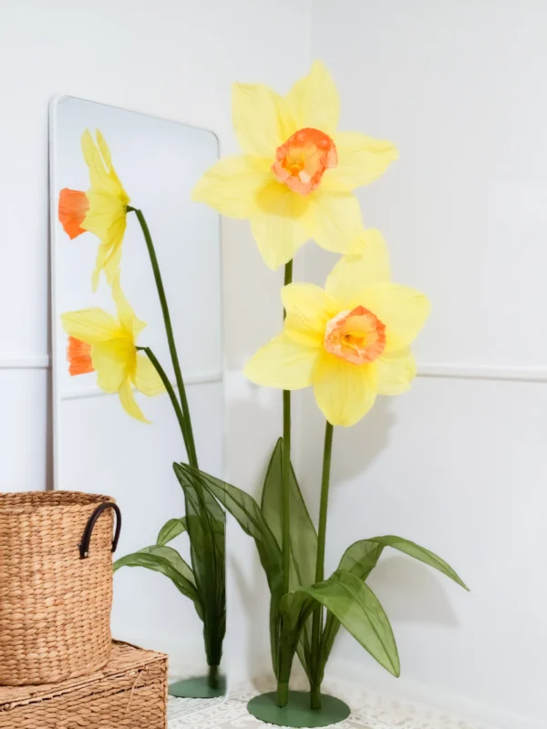 Daffodil