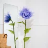 Double Peony