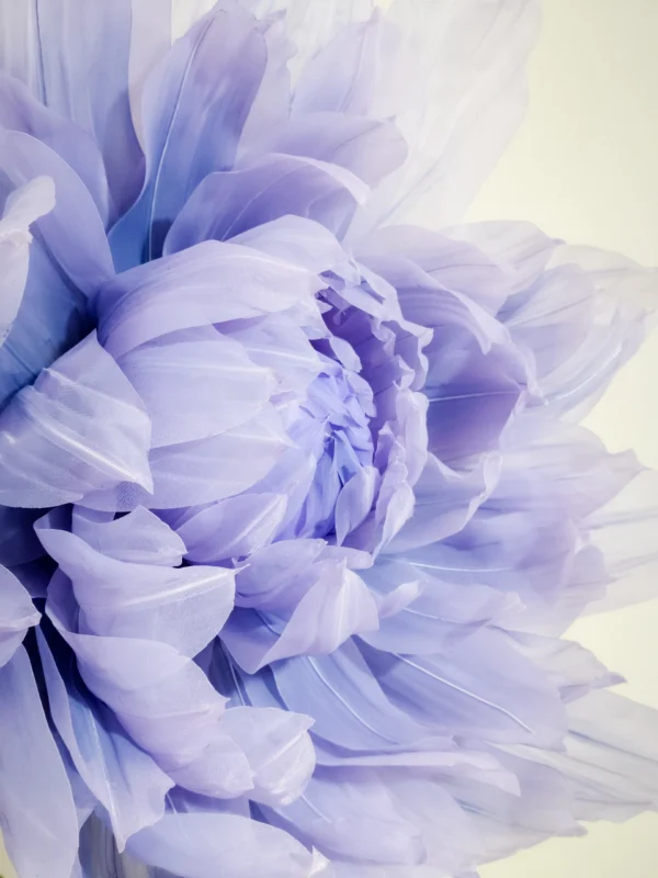 Double Peony