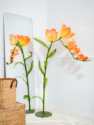 Flame Lily