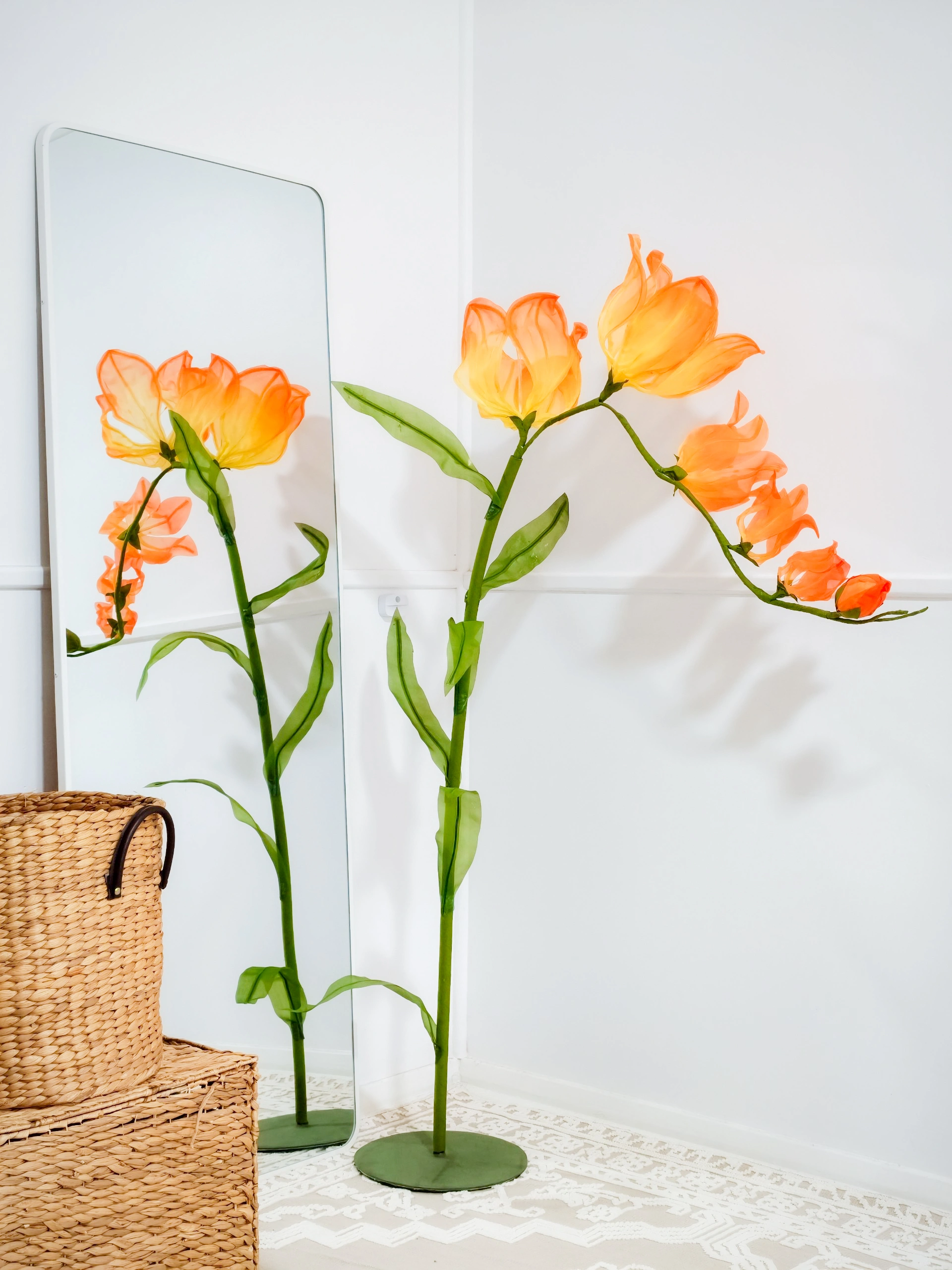 Flame Lily
