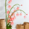 Lily of the Valley