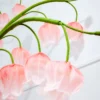 Lily of the Valley