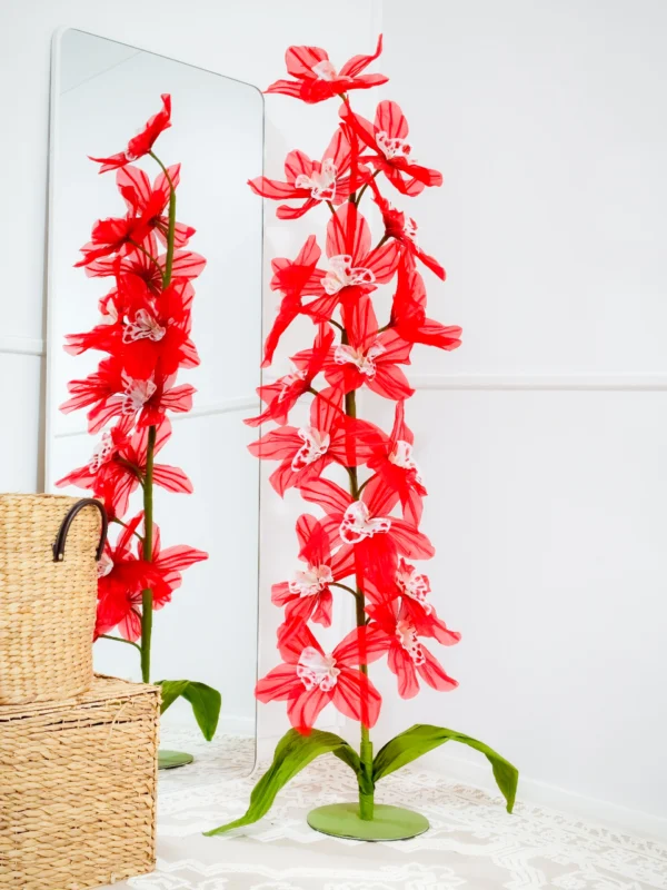 Orchid
