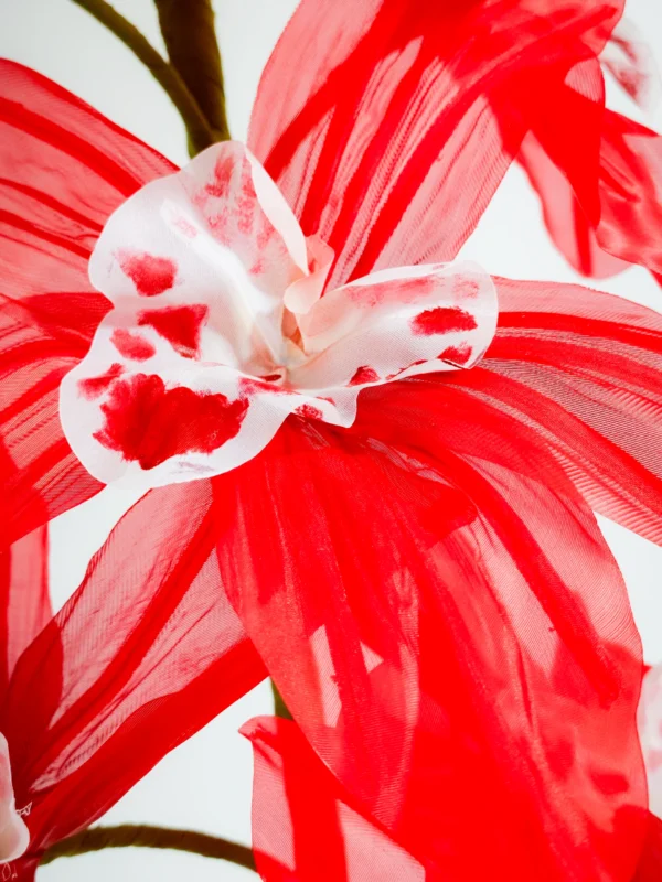Orchid