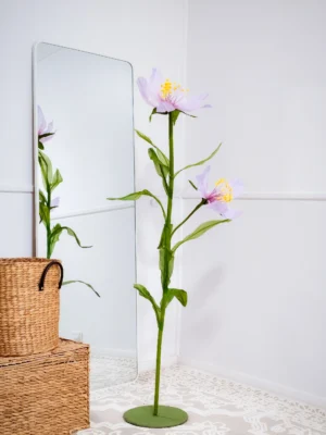 Osbeckia