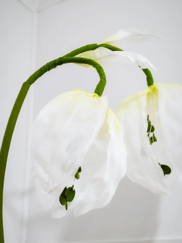 Snowdrop