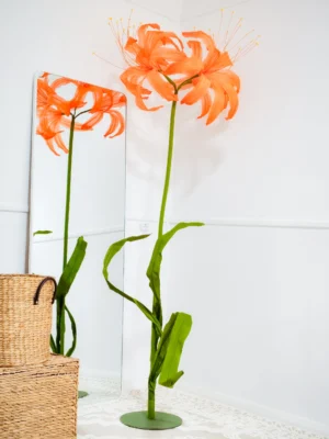 Spider Lily