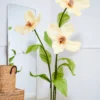 Yellow Cosmos