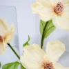 Yellow Cosmos