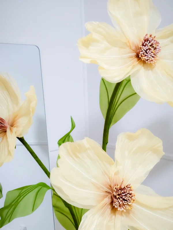 Yellow Cosmos