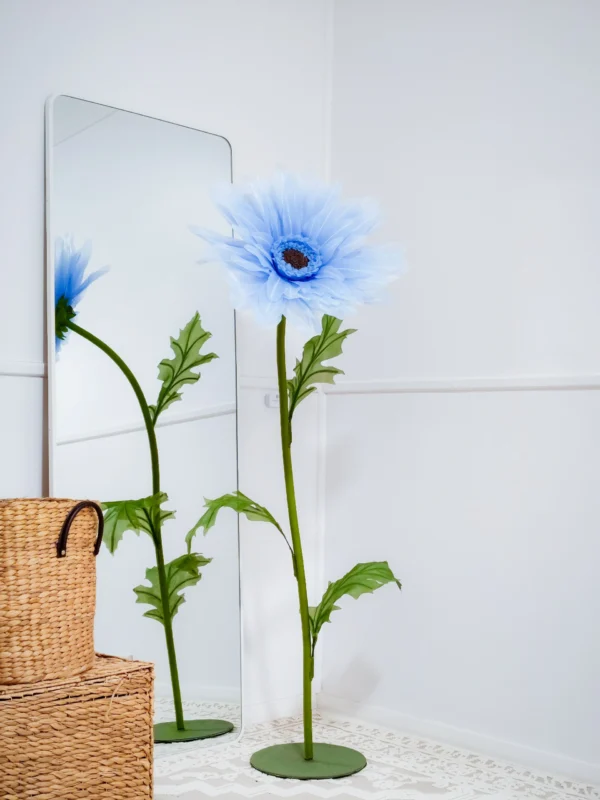 Gerbera Daisy