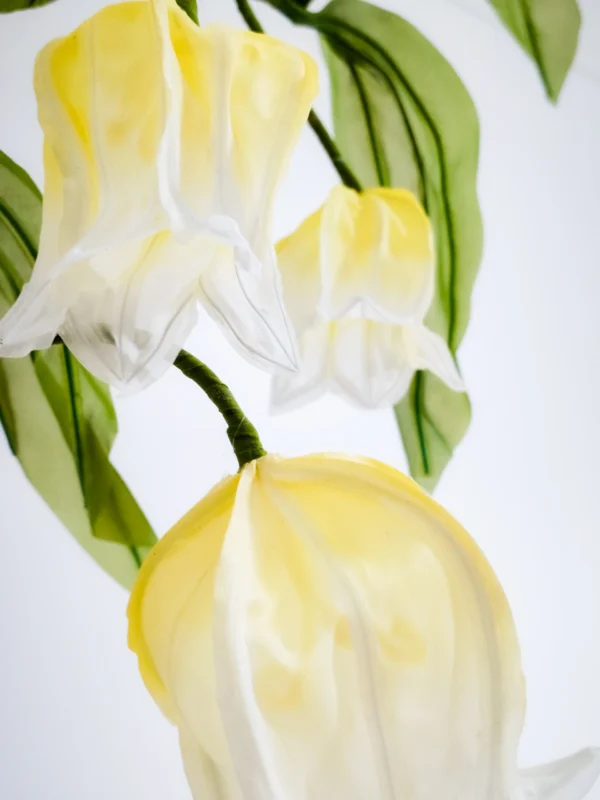 Yellow Solomon’s Seal